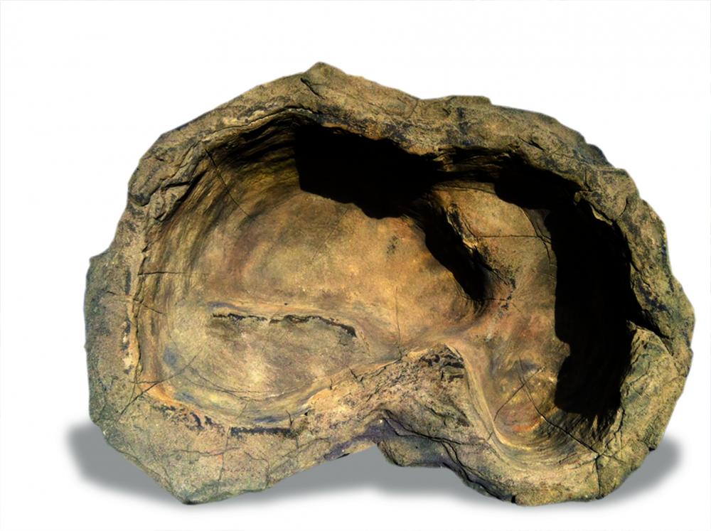 Universal Rocks Medium Rock Pond - MRP-016