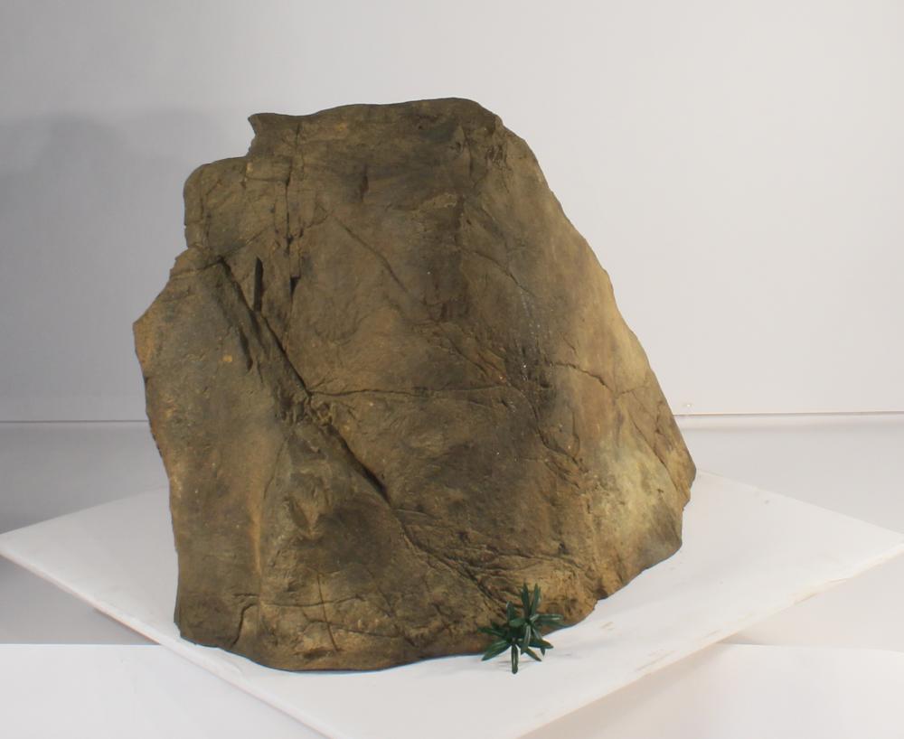 Universal Rocks Accent/Bubbling Rock-007- ACR/BAR-007