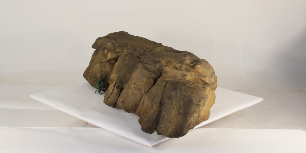 Universal Rocks Accent/Bubbling Rock-023- ACR/BAR-023