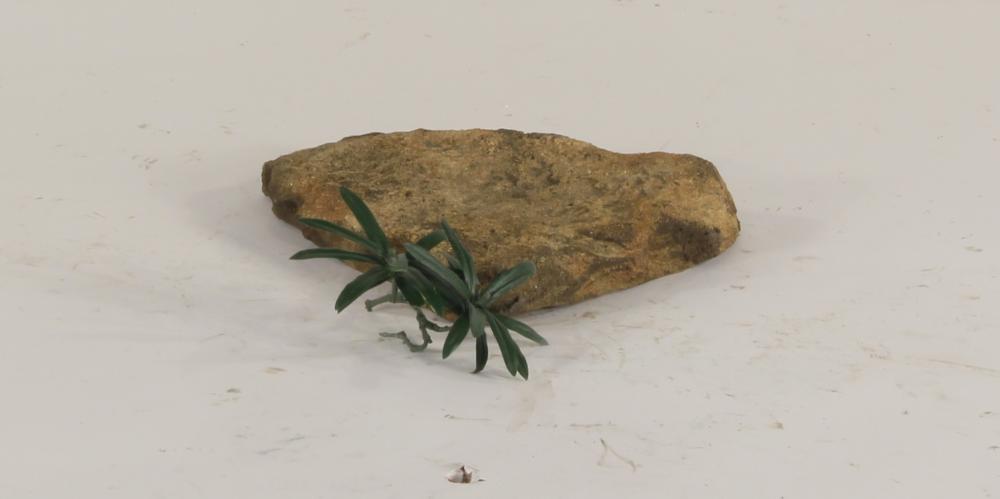 Universal Rocks Dispersion Rock - DR-003