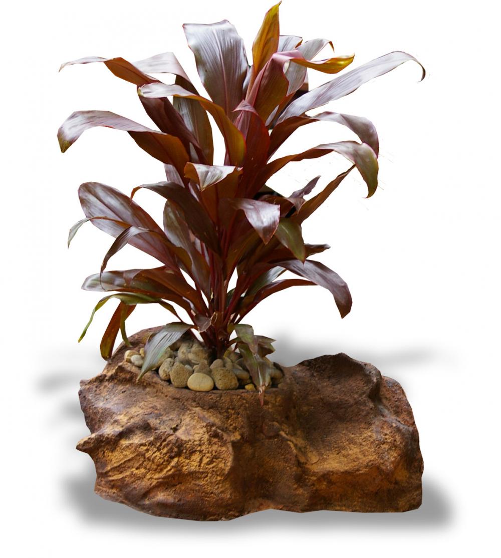 Universal Rocks Pot Rock - POTROCK-003