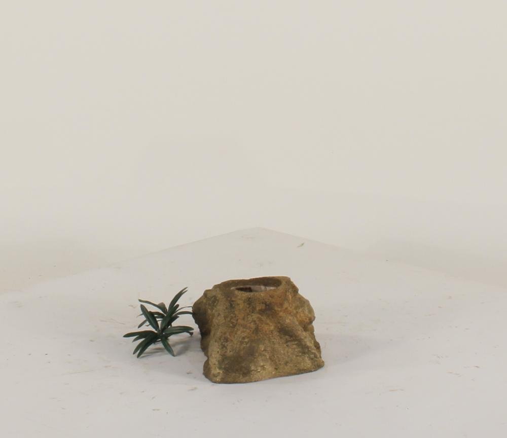 Universal Rocks Pot Rock - POTROCK-007