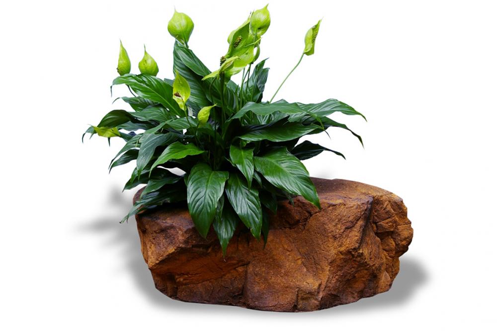 Universal Rocks Pot Rock - POTROCK-008