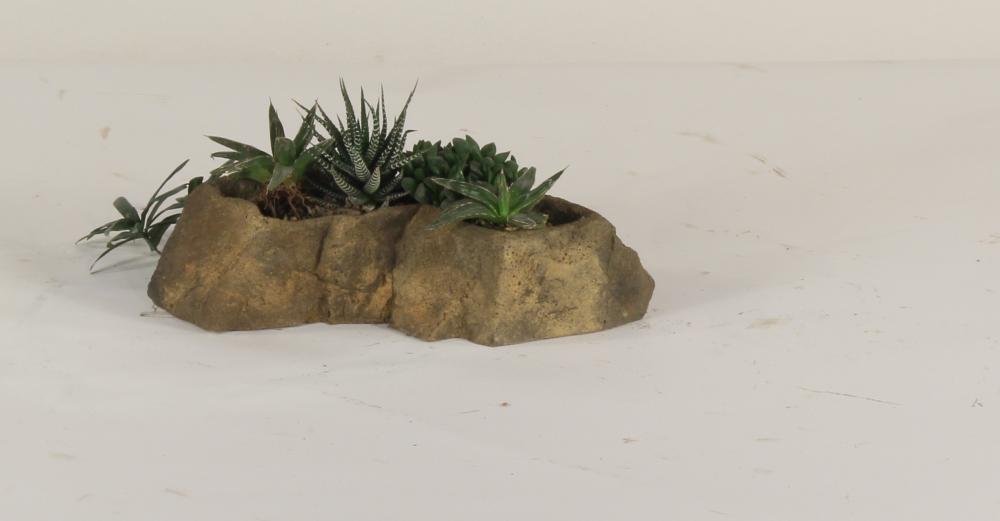 Universal Rocks Pot Rock - POTROCK-009