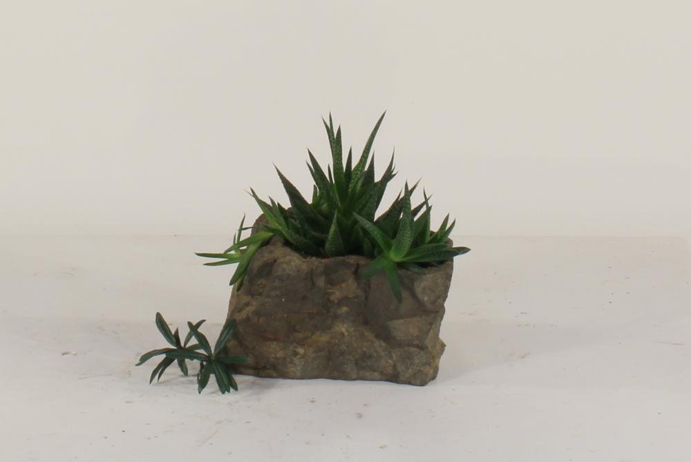 Universal Rocks Pot Rock - POTROCK-010