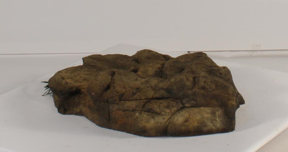 Universal Rocks Skimmer Lid - SL-002