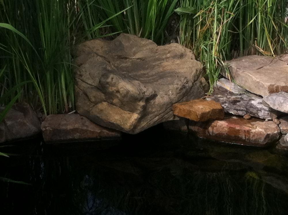 Universal Rocks Skimmer Lid - SL-002