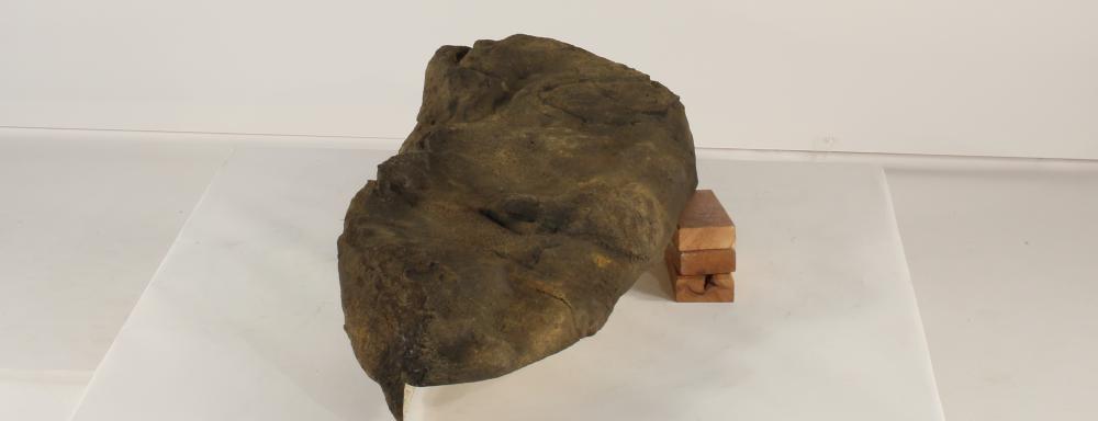 Universal Rocks Edge Rock-019- ER-019