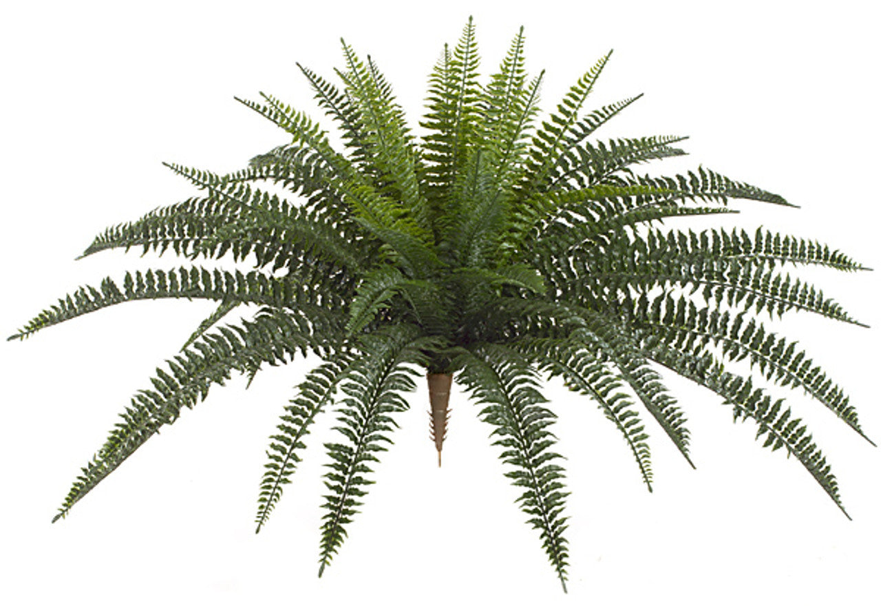 Universal Rocks 30 Inch Outdoor Boston Fern Plant - BOSTON-LG