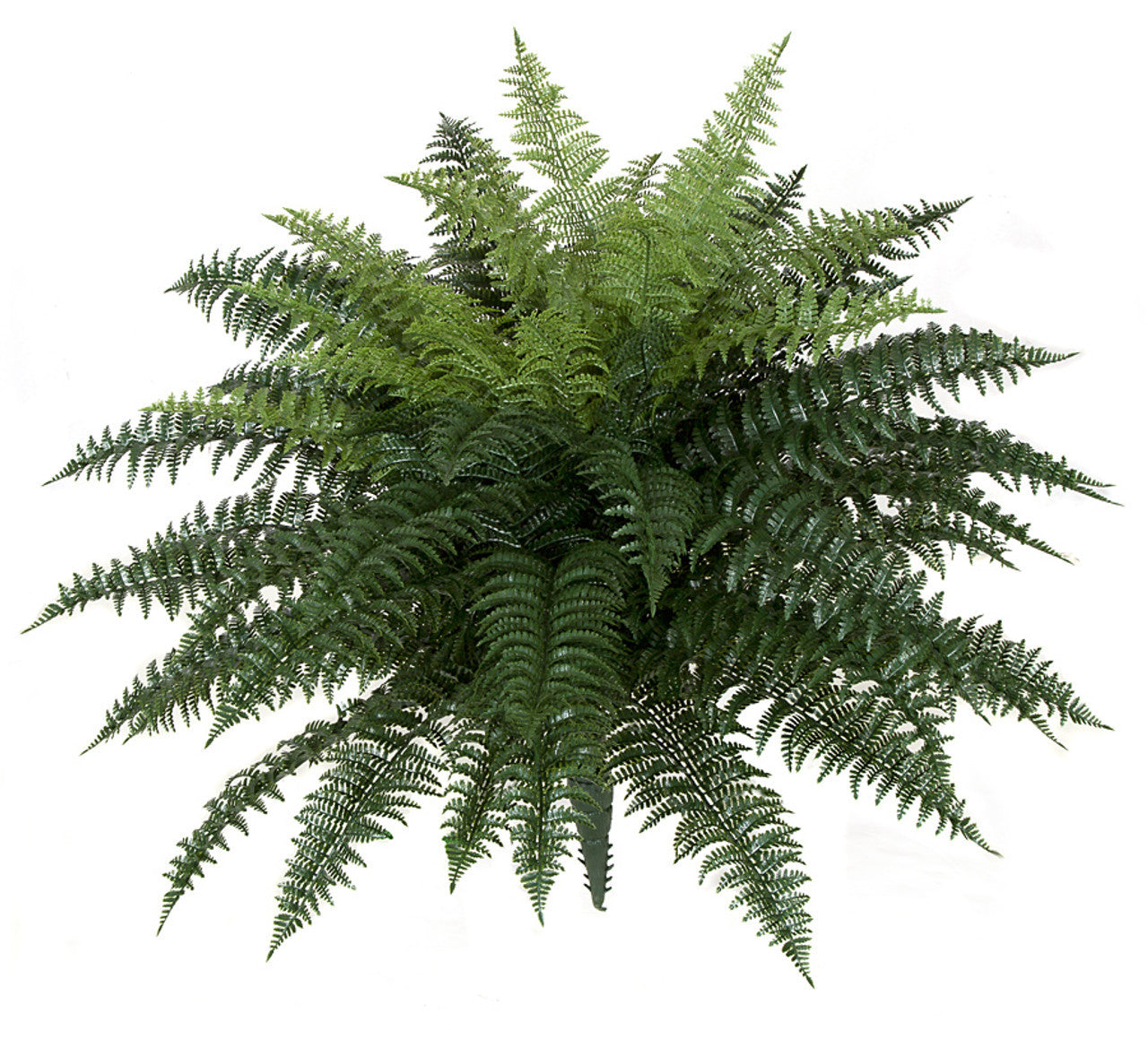 Universal Rocks 26 Inch Outdoor Ruffle Fern Plant - RUFFLE-LG