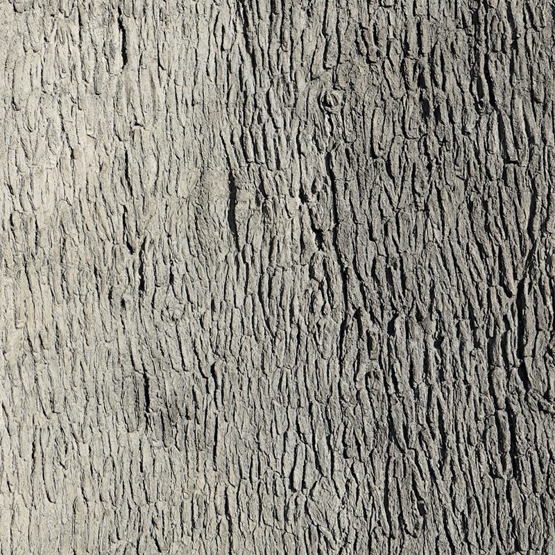 Universal Rocks Pecan Tree Bark Wall Panel 6' x 13' - PECAN-BARK-PANEL