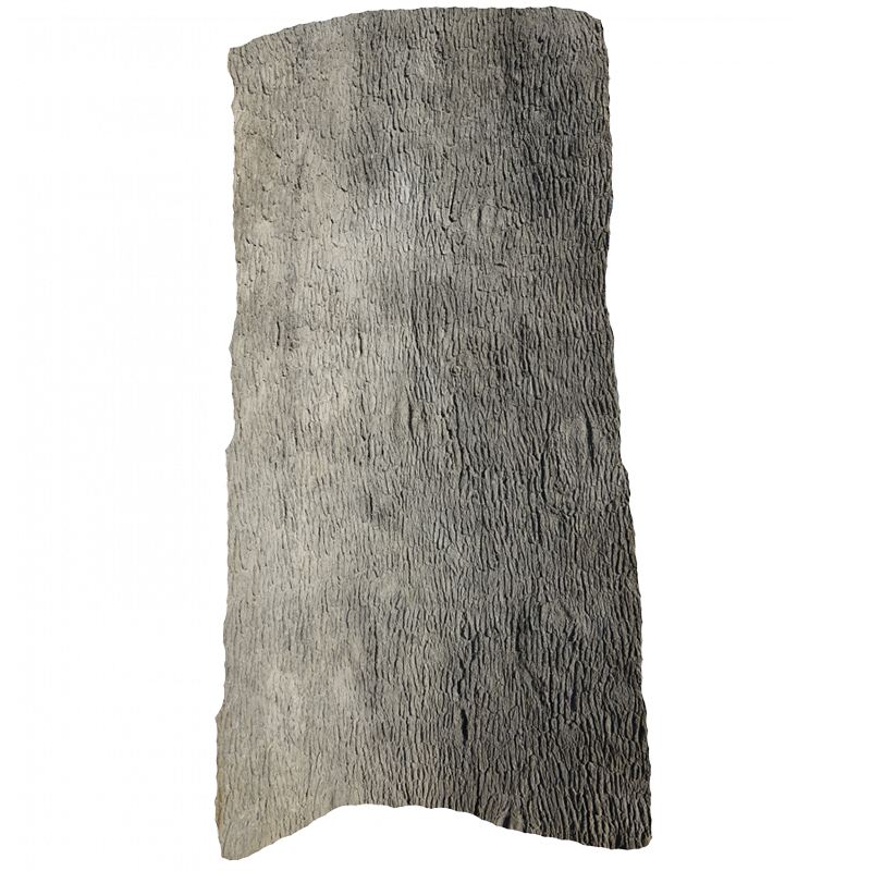 Universal Rocks Pecan Tree Bark Wall Panel 6' x 13' - PECAN-BARK-PANEL