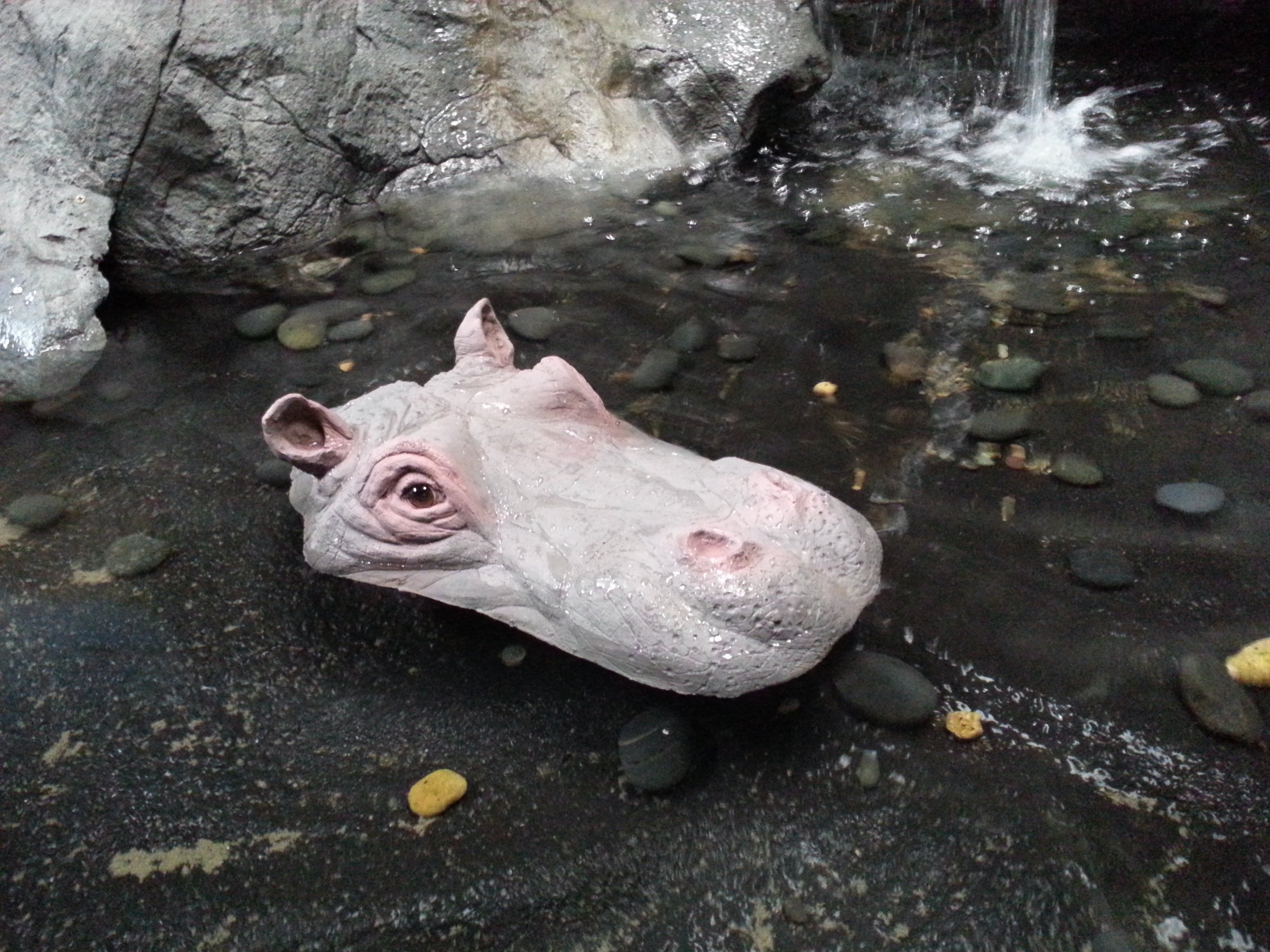 Universal Rocks Small Floating Hippo Head - HIPPO-SM