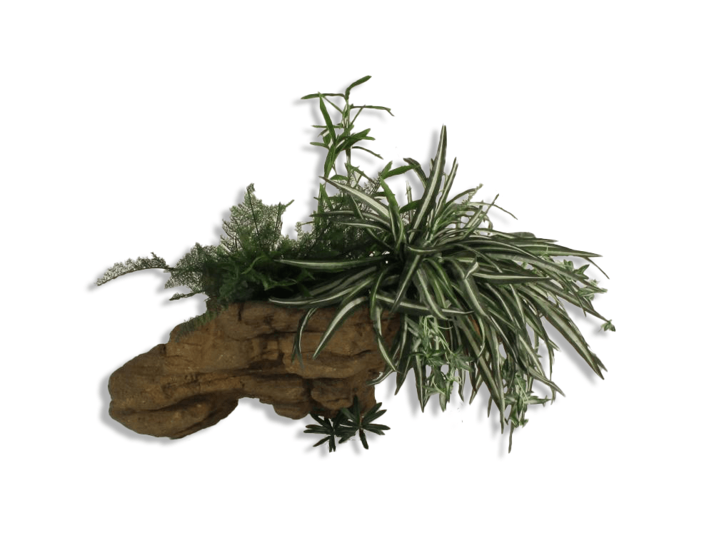 Universal Rocks Wall Planter - WP-004
