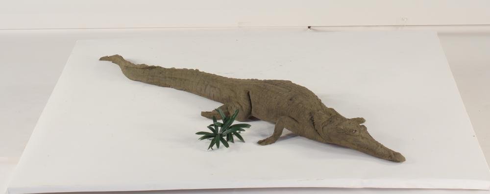 Universal Rocks Floating 4ft Crocodile - CROC4