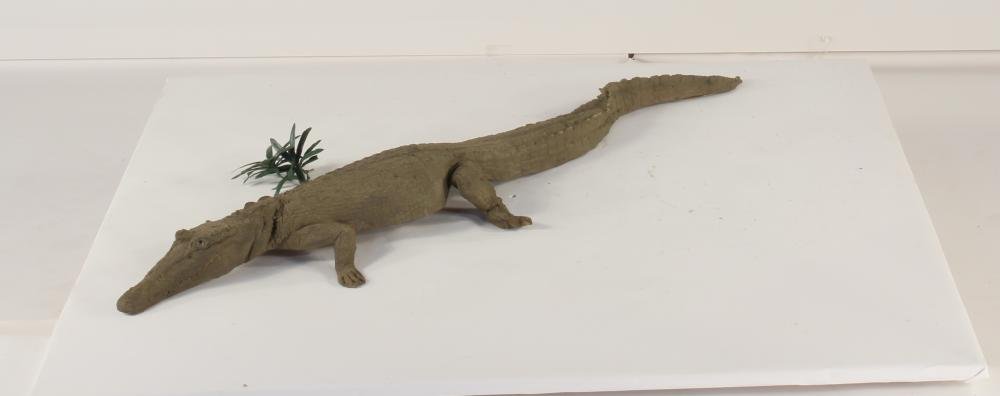 Universal Rocks Floating 4ft Crocodile - CROC4