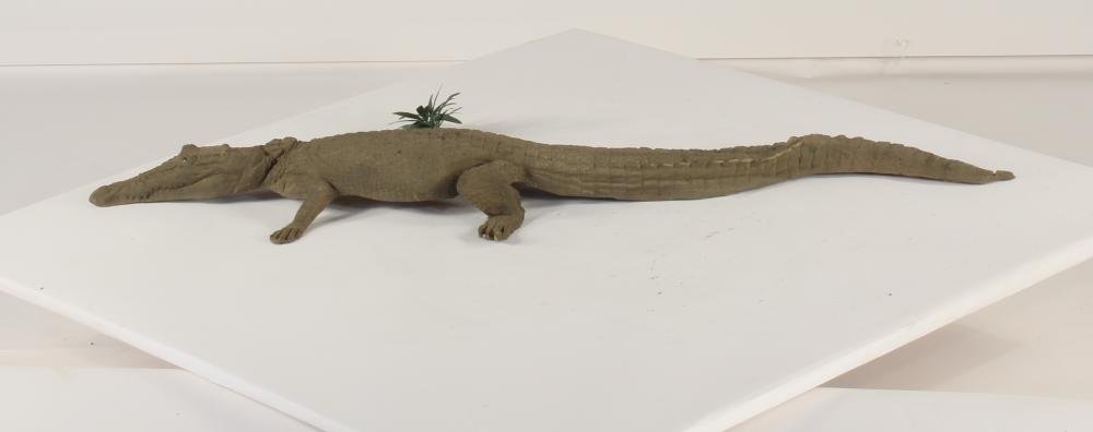 Universal Rocks Floating 4ft Crocodile - CROC4
