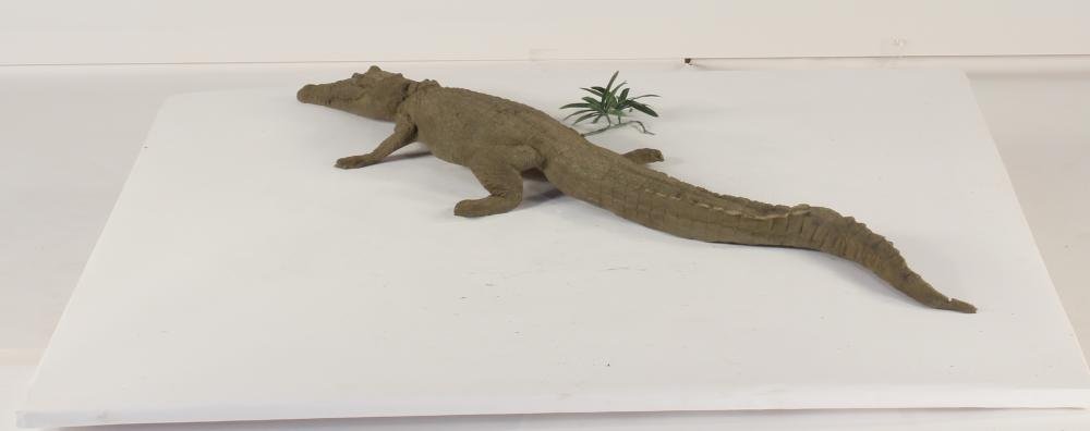 Universal Rocks Floating 4ft Crocodile - CROC4
