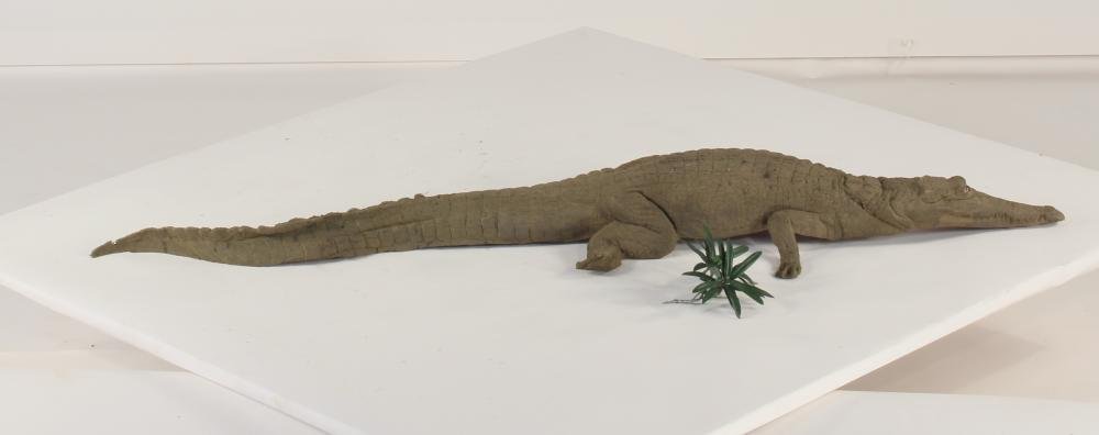 Universal Rocks Floating 4ft Crocodile - CROC4