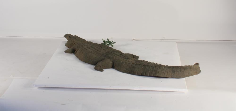 Universal Rocks Floating 8ft Alligator - GATOR8