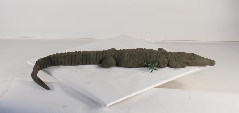 Universal Rocks Floating 8ft Alligator - GATOR8