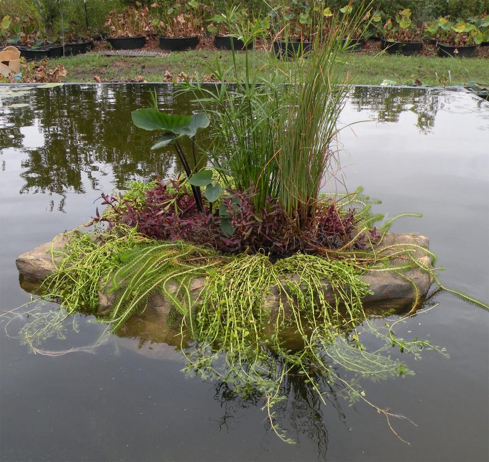 Universal Rocks Floating Island - FR-001