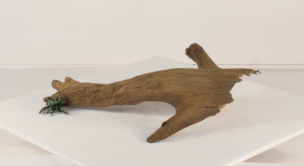 Universal Rocks Floating Log - FL-001