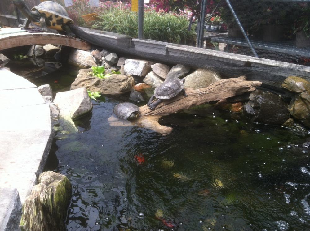 Universal Rocks Floating Log - FL-001
