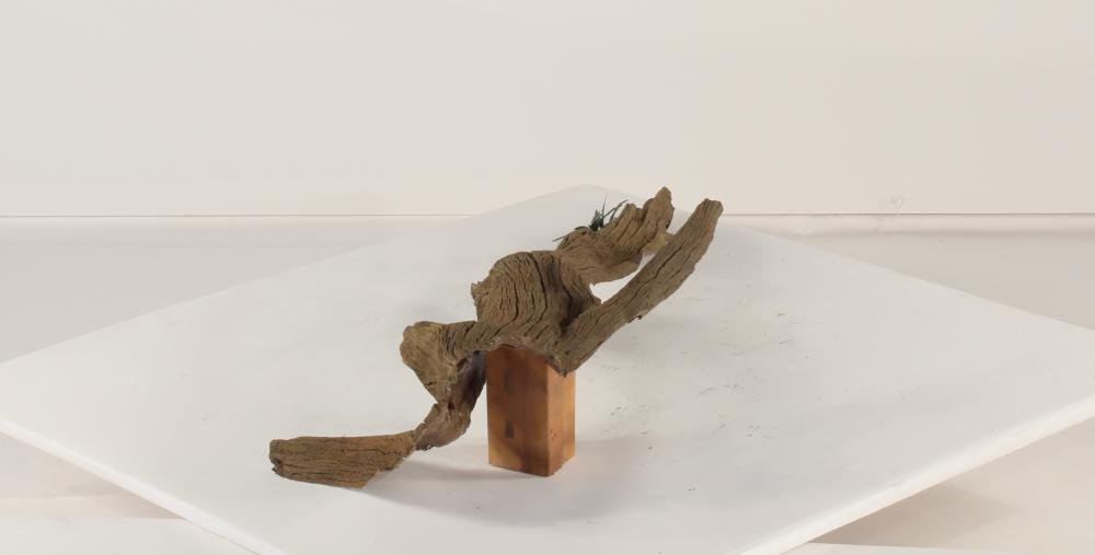 Universal Rocks Floating Log - FL-002