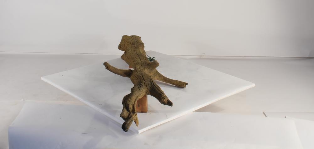 Universal Rocks Floating Log - FL-003