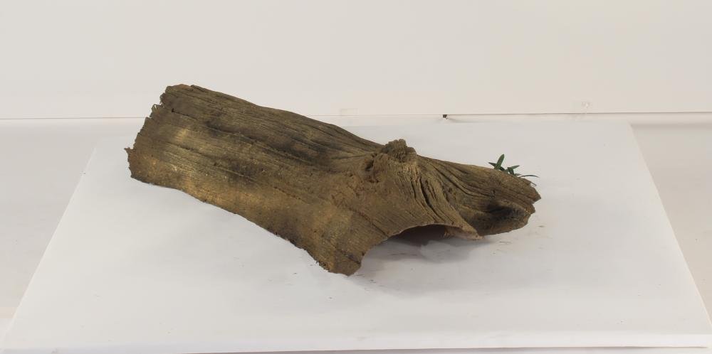 Universal Rocks Floating Log - FL-005