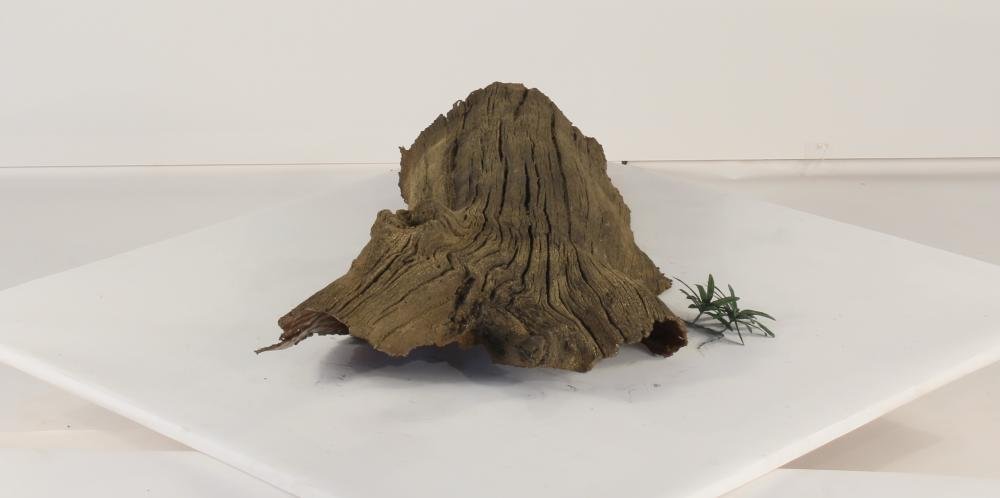 Universal Rocks Floating Log - FL-005