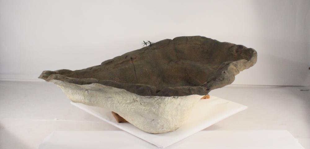 Universal Rocks Medium Rock Pond - MRP-011