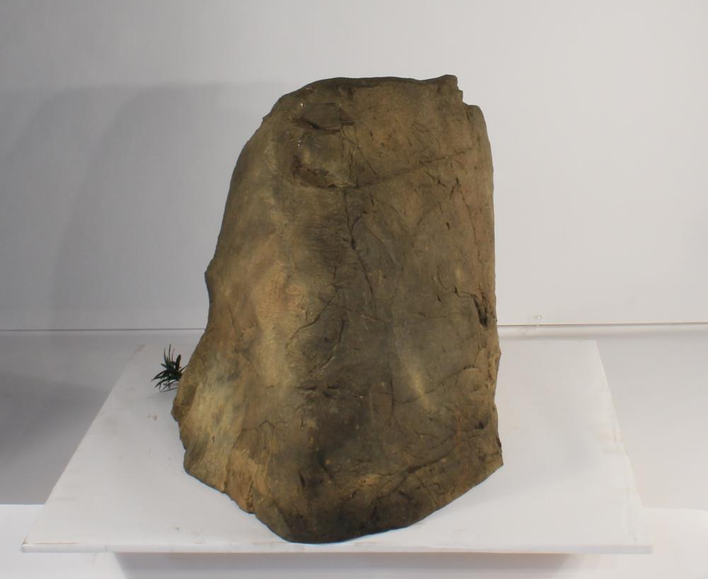 Universal Rocks Accent/Bubbling Rock-007- ACR/BAR-007