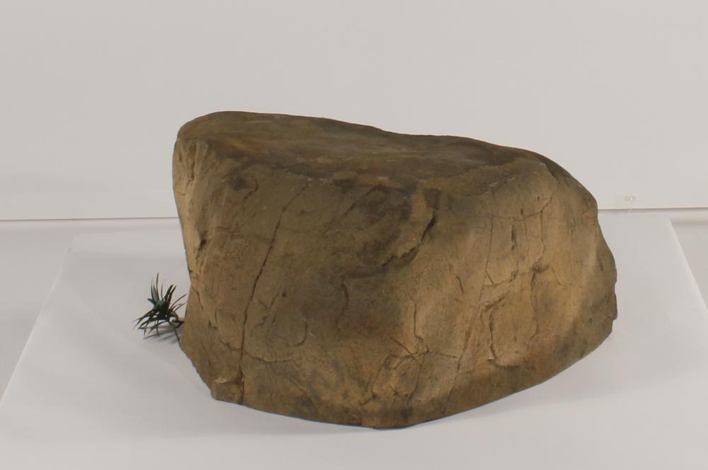 Universal Rocks Accent/Bubbling Rock-009- ACR/BAR-009