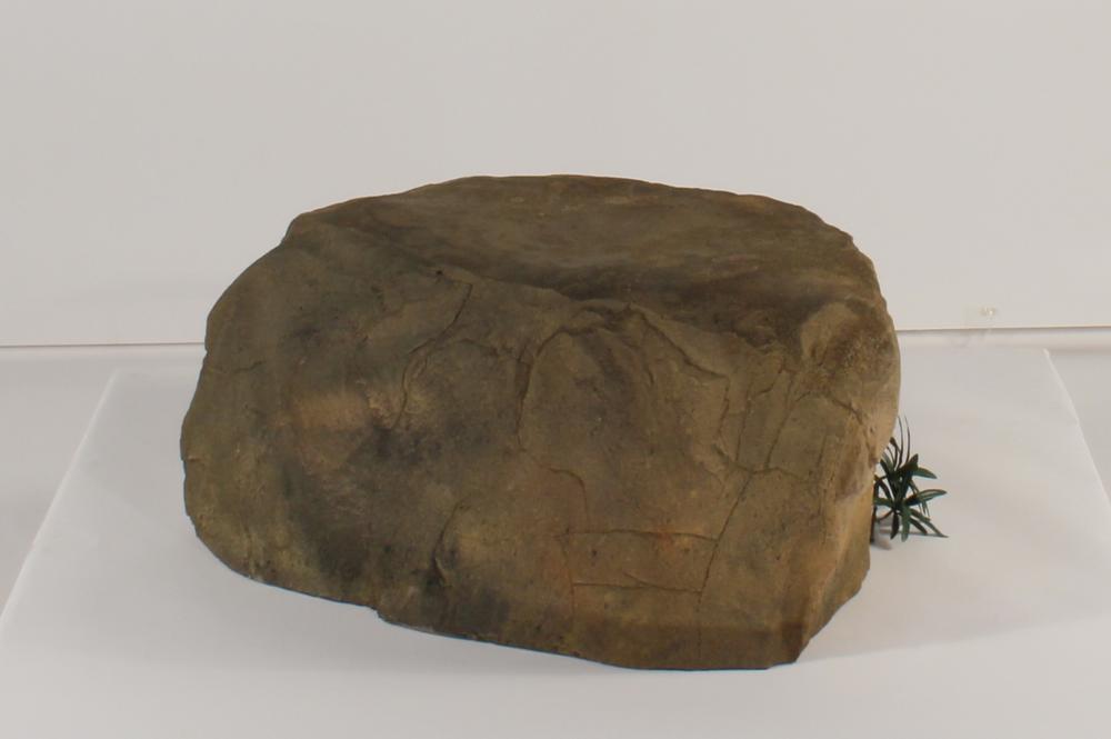 Universal Rocks Accent/Bubbling Rock-009- ACR/BAR-009