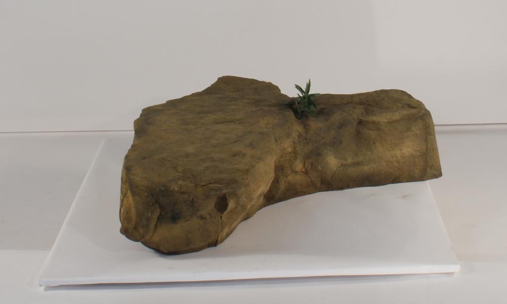 Universal Rocks Accent/Bubbling Rock-012- ACR/BAR-012