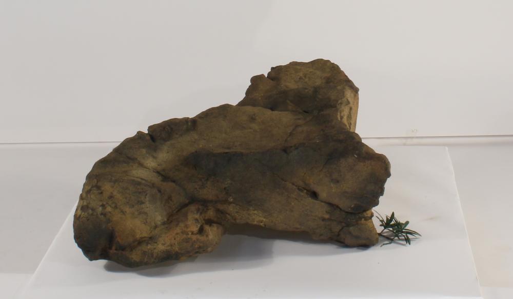 Universal Rocks Accent/Bubbling Rock-015- ACR/BAR-015