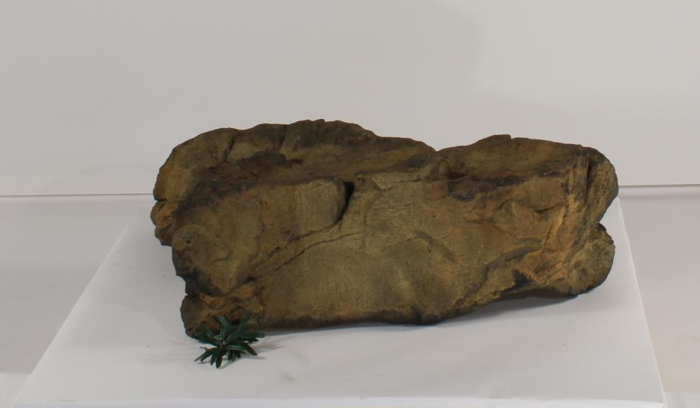 Universal Rocks Accent/Bubbling Rock-015- ACR/BAR-015