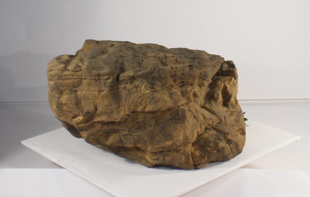 Universal Rocks Accent/Bubbling Rock-016- ACR/BAR-016