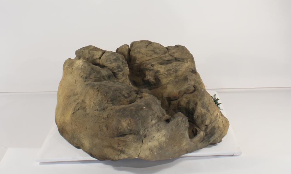 Universal Rocks Accent/Bubbling Rock-017- ACR/BAR-017