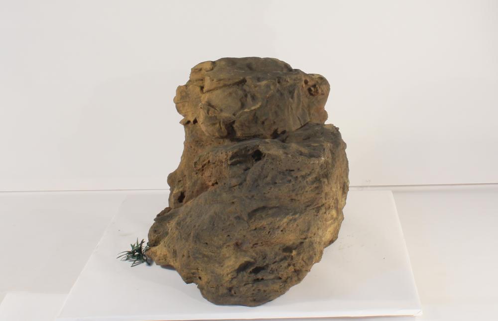Universal Rocks Accent/Bubbling Rock-018- ACR/BAR-018