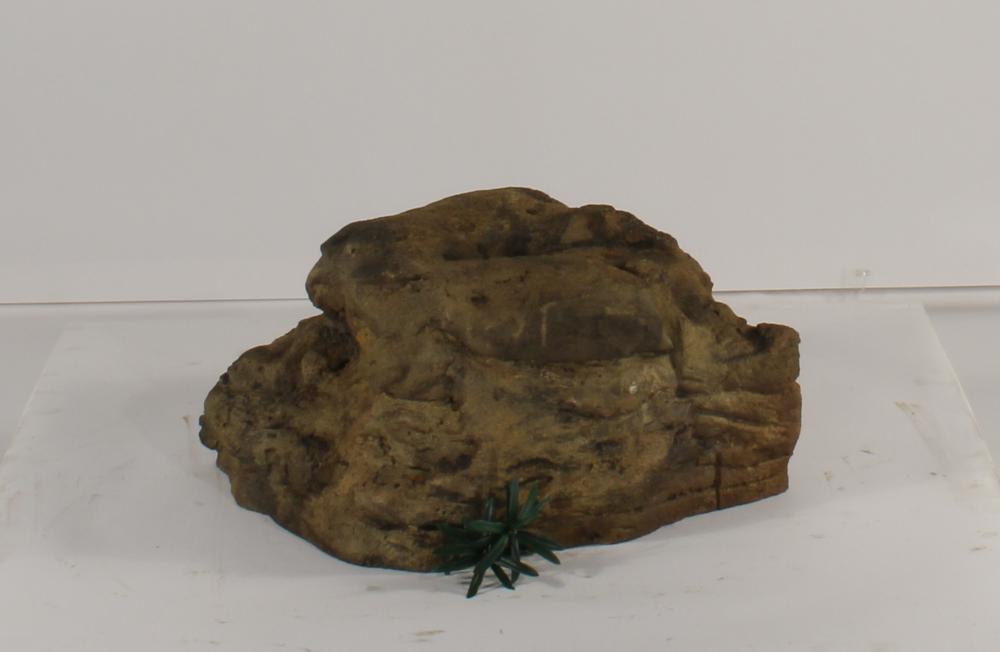 Universal Rocks Accent/Bubbling Rock-019- ACR/BAR-019