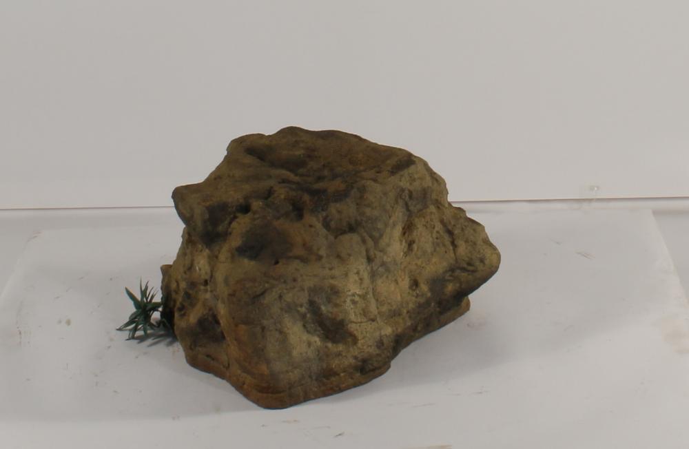 Universal Rocks Accent/Bubbling Rock-019- ACR/BAR-019