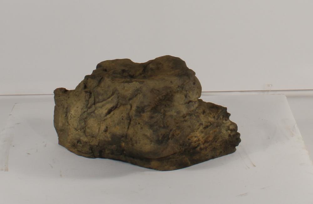 Universal Rocks Accent/Bubbling Rock-019- ACR/BAR-019
