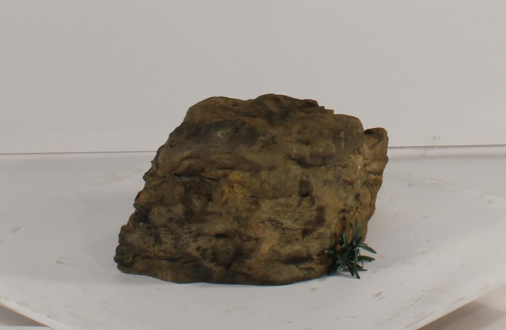 Universal Rocks Accent/Bubbling Rock-019- ACR/BAR-019
