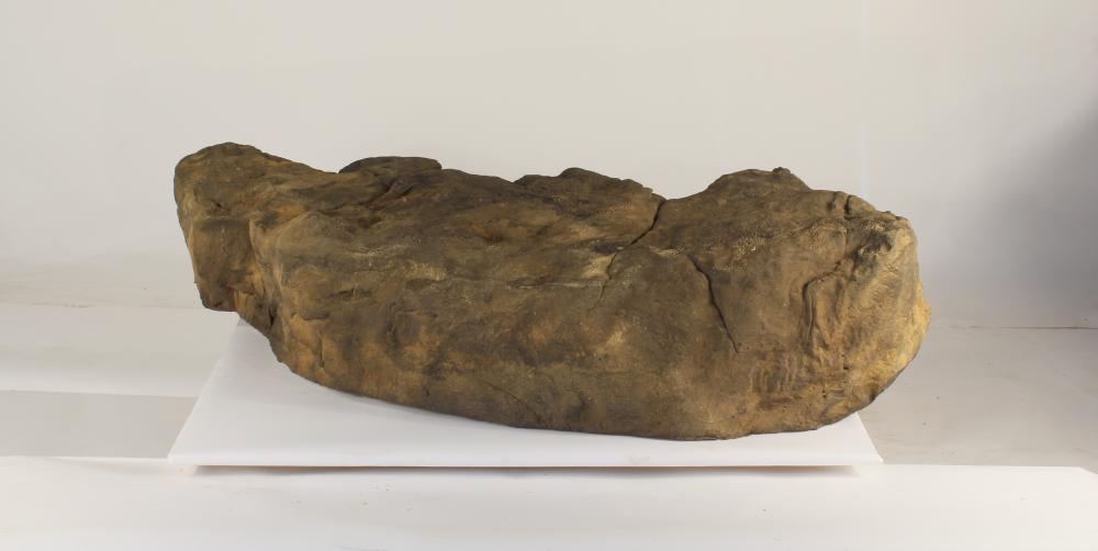 Universal Rocks Accent/Bubbling Rock-023- ACR/BAR-023