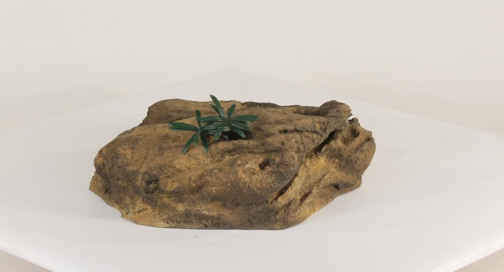 Universal Rocks Accent/Bubbling Rock-024- ACR/BAR-024
