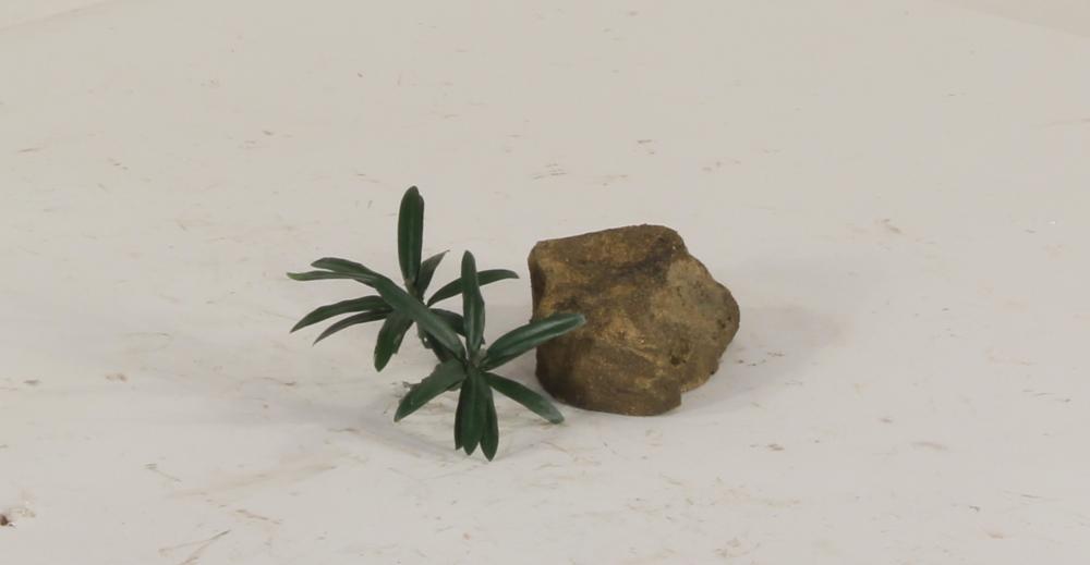 Universal Rocks Dispersion Rock - DR-001