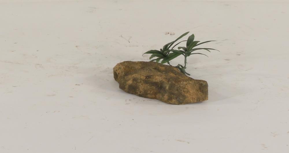Universal Rocks Dispersion Rock - DR-002